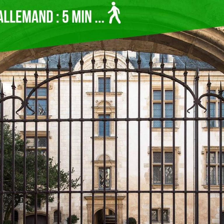 Les Quatre Piliers - 1 min Palais Jacques Cœur - Appartement 3 Chambres - 16