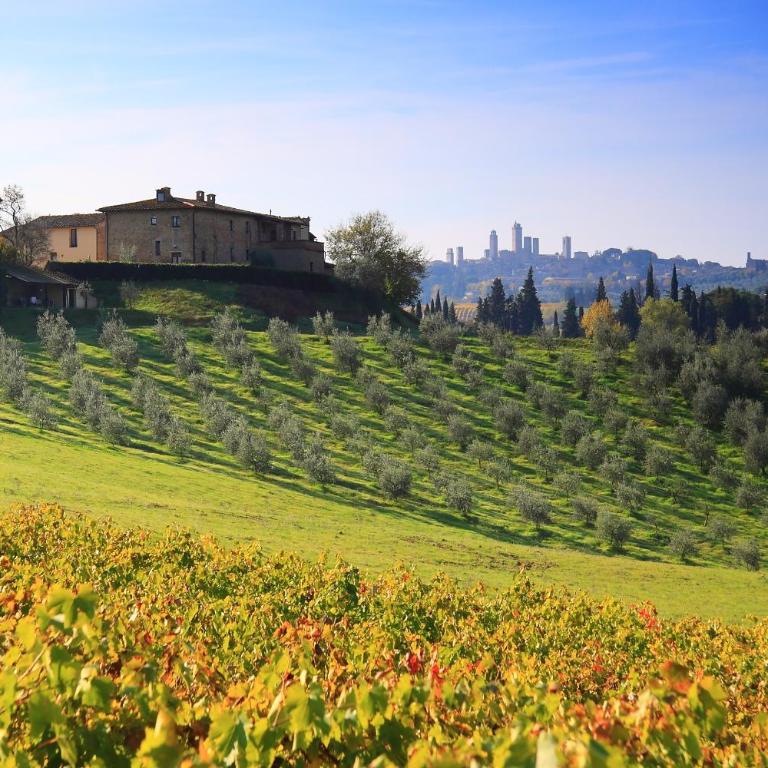 Agriturismo Montegonfoli - Two-Bedroom Apartment with Patio - 1