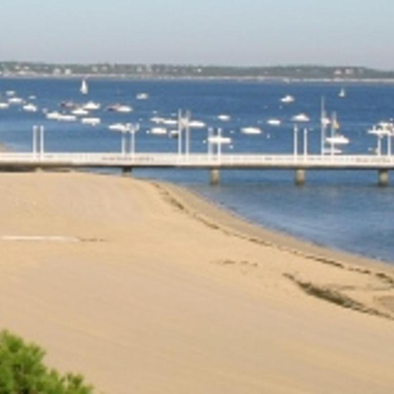 Appartement 4 chambres au dernier étage avec immense terrasse face au Bassin à Arcachon - FR-1-420-122 - Apartment - 4