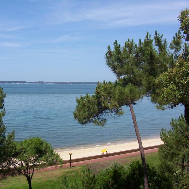 Appartement 4 chambres au dernier étage avec immense terrasse face au Bassin à Arcachon - FR-1-420-122 - Apartment - 5