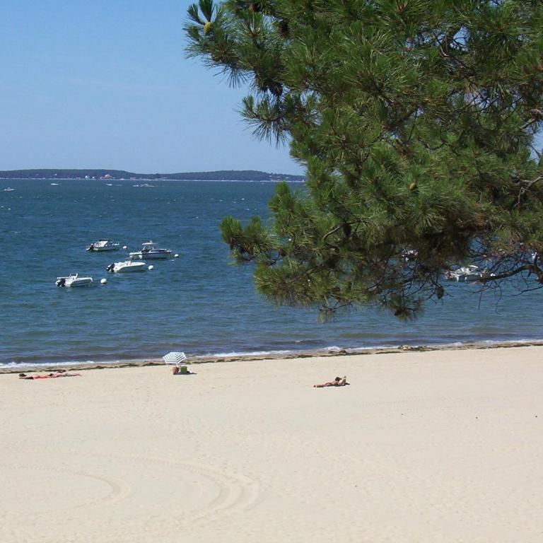 Appartement 4 chambres au dernier étage avec immense terrasse face au Bassin à Arcachon - FR-1-420-122 - Apartment - 6