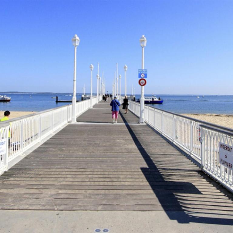 Appartement 4 chambres au dernier étage avec immense terrasse face au Bassin à Arcachon - FR-1-420-122 - Apartment - 7