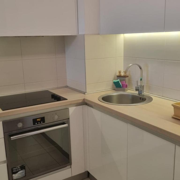 Stylish New Belgrade apt parking 5e per day - Apartman sa 1 Spavaćom Sobom - 6