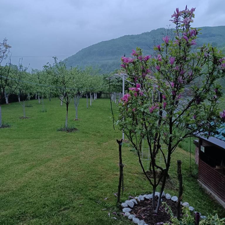 Silent home - Two-Bedroom Apartment - 22