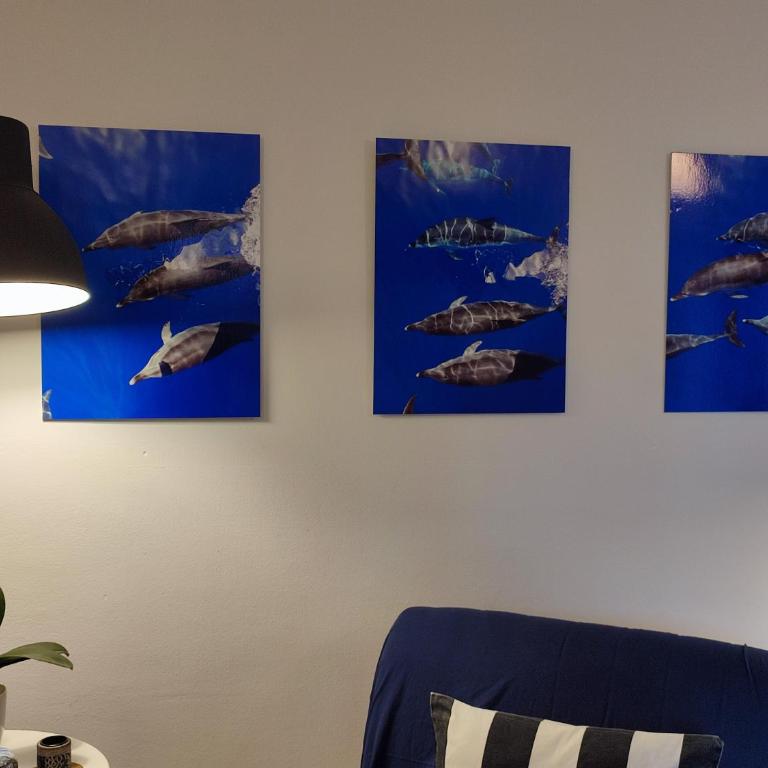 Appartamento in Oasis tropicale - Casa - 20