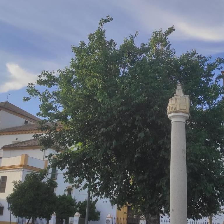 Accommodation Campanario de la Magdalena - Two-Bedroom Apartment - 14