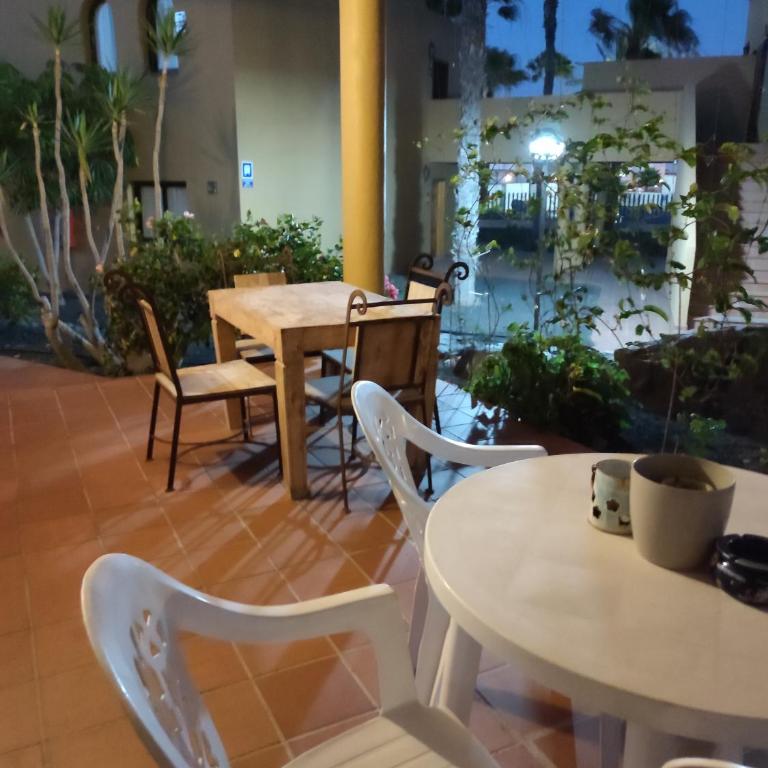 Appartamento in Oasis tropicale - Casa - 33