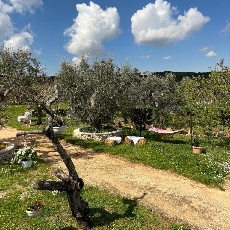 Trulli Barsento - Monolocale Matrimoniale Deluxe - 7