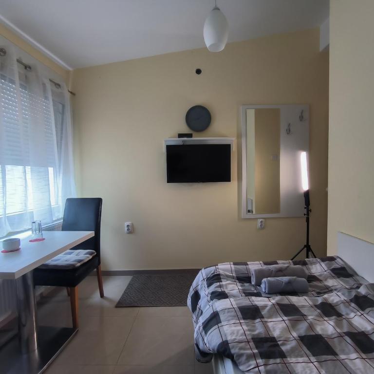 Studio Apartments Maksimović - Jednokrevetna Soba sa Sopstvenim Kupatilom - 3