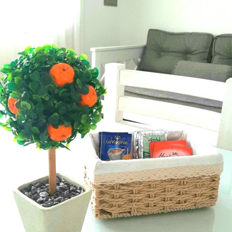 MS Brown 863 - Apartamento de 1 dormitorio - 3