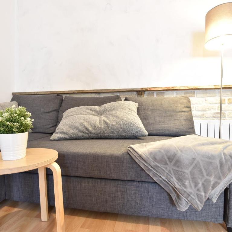 Big place in city center with parking - Apartment - 1