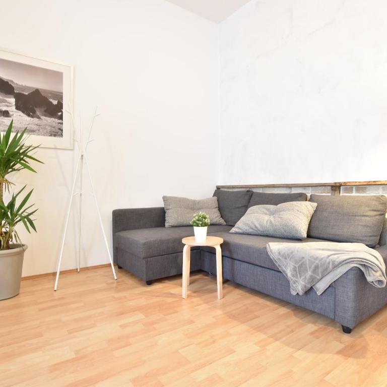 Big place in city center with parking - Apartment - 2
