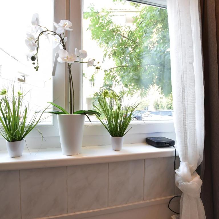 Big place in city center with parking - Apartment - 9