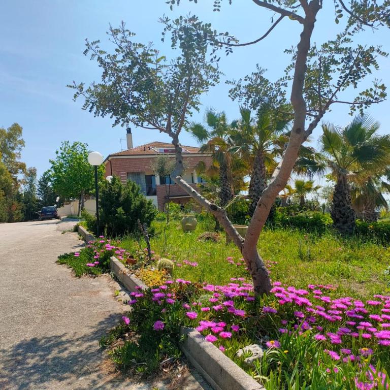 Villa Vittoria - Appartamento con doccia - 1