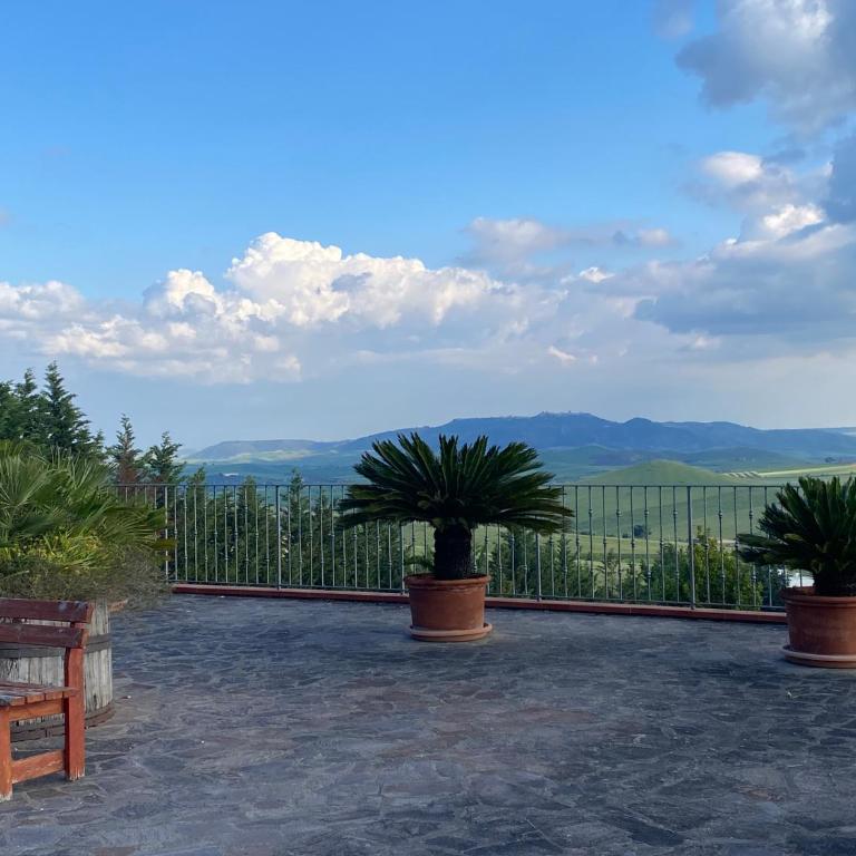 Villa Vittoria - Appartamento con doccia - 37