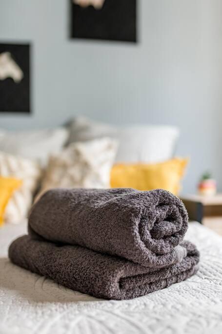 Le City Center spacieux et chic - Appartement 2 Chambres - 12