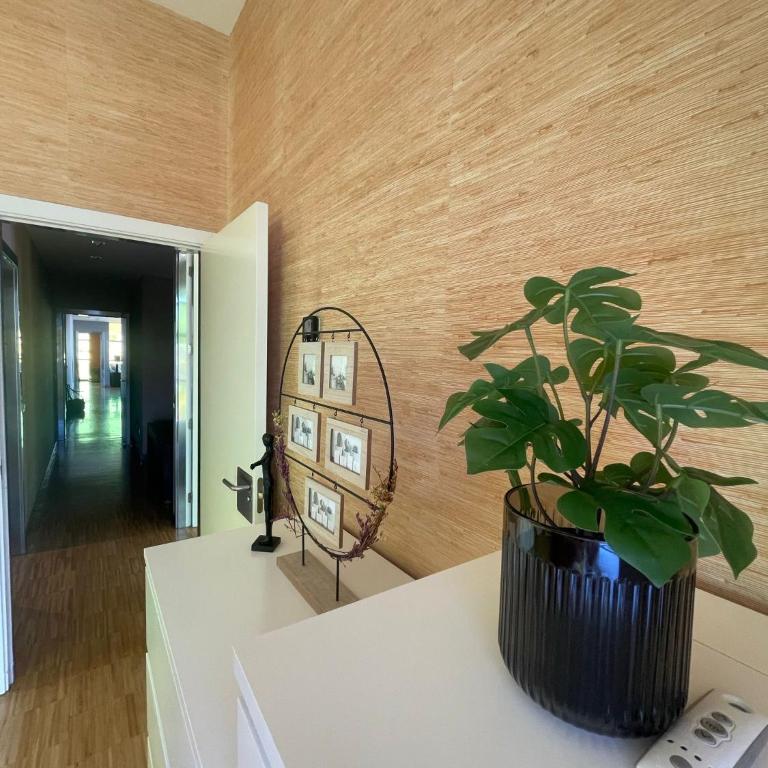 Luxury Family Beachfront Apartment - Three-Bedroom Apartment - 6