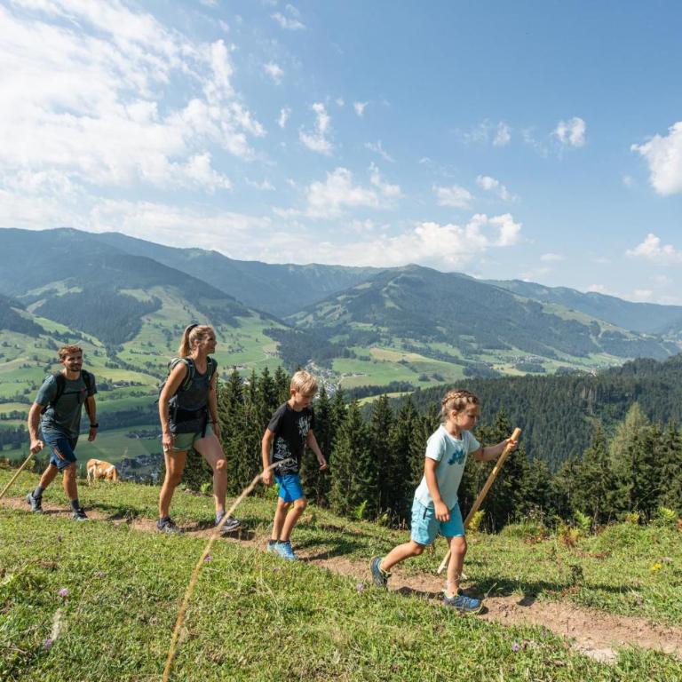 vomLandl Natur Lofts & Apartments Leogang - Haus mit 3 Schlafzimmern - 46