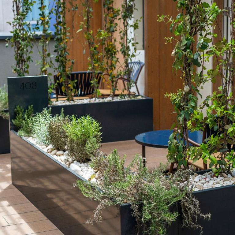 Hotel Paxton Barcelona - Double Room with Garden View - 1
