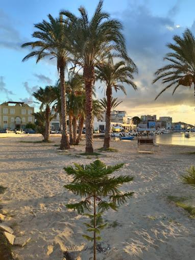 Attico sul Porto Vecchio - Lampedusa - Casa con 3 Camere da Letto - 13