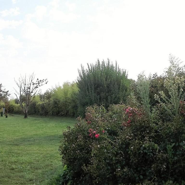 Maison individ. au calme, 1,5 km plage, grd terrain arboré, proche commerces, 1 ch., TV câble, animaux ok. - FR-1-22-238 - Casa de vacaciones (4 adultos) - 3
