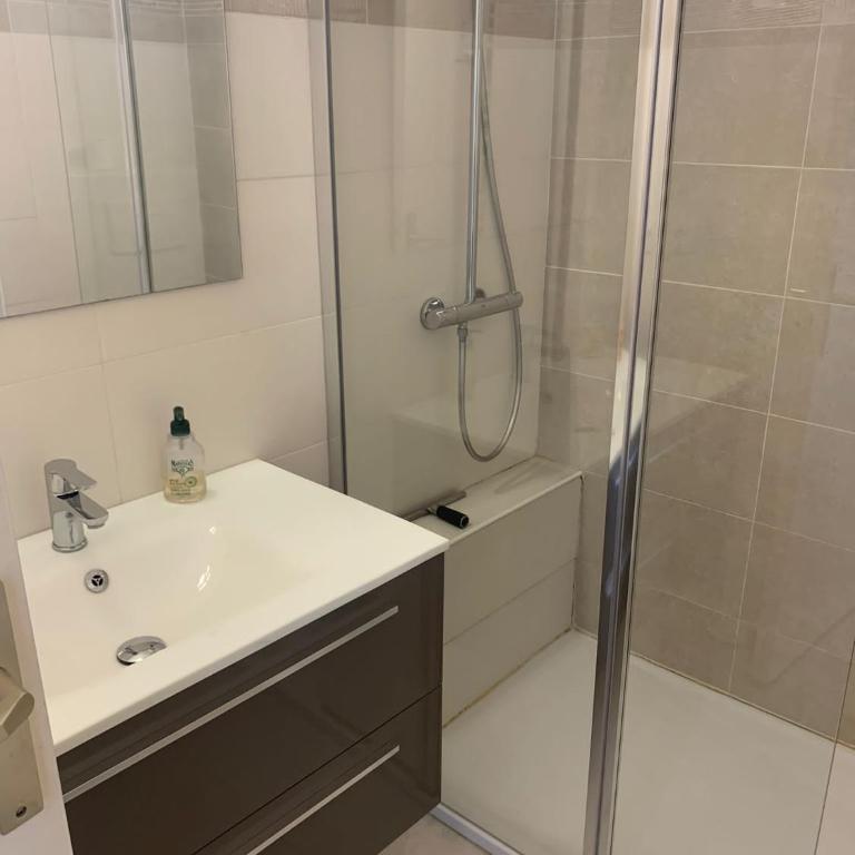 PWS Antibes, Provence-Alpes-Côte-d'azur, Studio - Apartamento de 1 dormitorio - 13