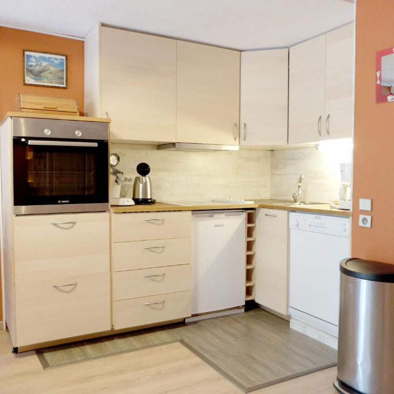 Studio ski aux pieds, balcon, animaux admis - FR-1-502-458 - Monolocale - 11