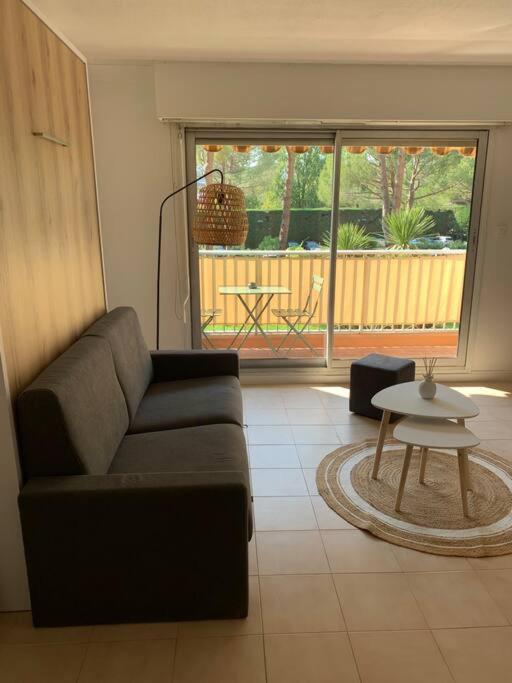 Joli Studio avec piscine - Studio avec Vue sur Jardin - 11