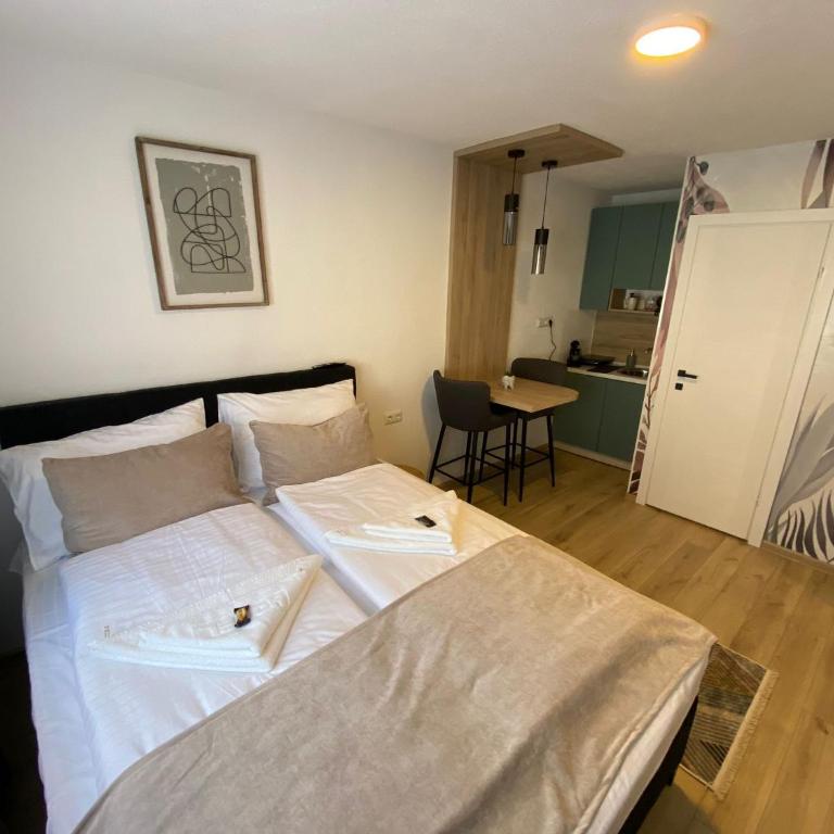 Apartments HAN 2 Sarajevo - Deluks Dvokrevetni Studio sa Bračnim Krevetom - 3