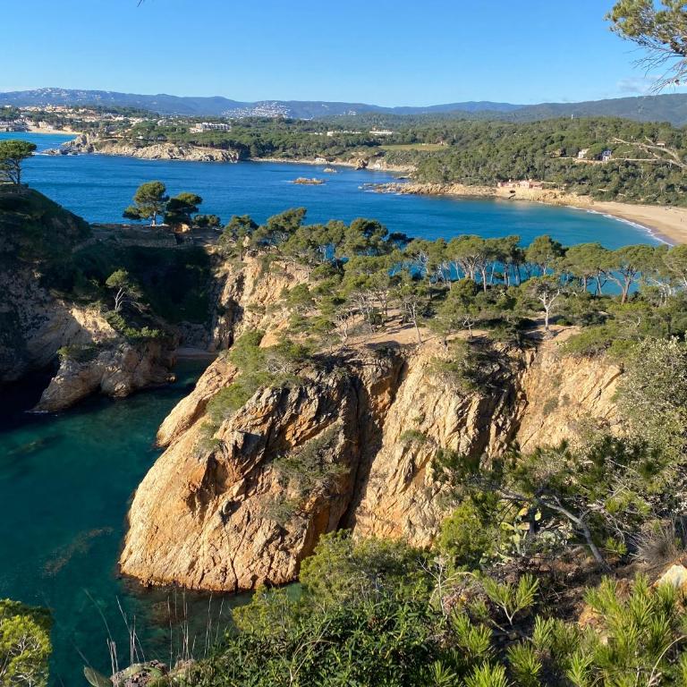 Apartament al centre ideal parelles a Platja d'Aro - Apartamento de 1 dormitorio - 12