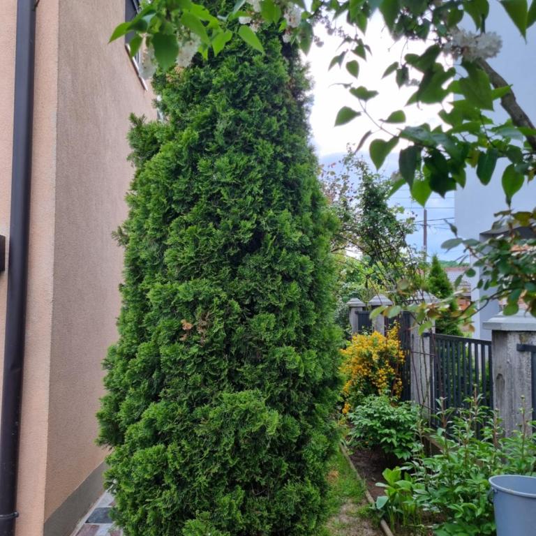Apartman- Sarajevo - Apartman sa 2 Spavaće Sobe - 20