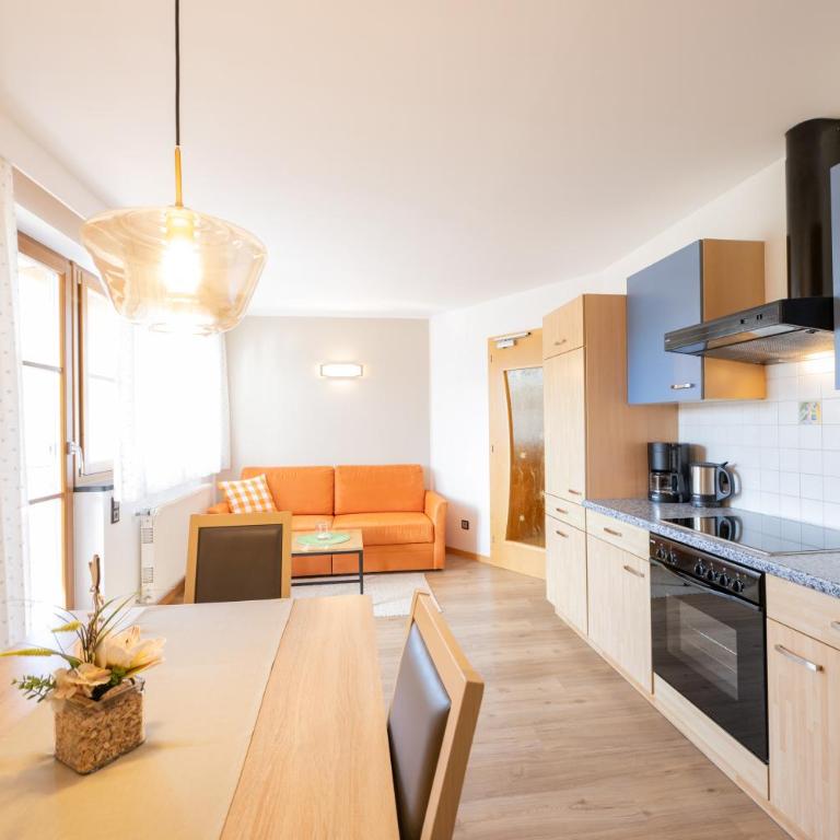 Ferienwohnungen Lanserhof - Appartamento con 2 Camere da Letto - 1