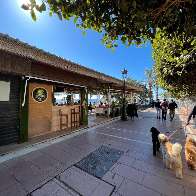 Apartment in Marbella Center with private parking - Apartamento de 3 dormitorios - 25