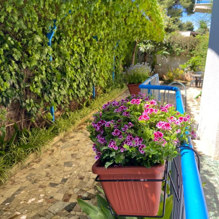 Villa Savoia Mondello - Villa - 1