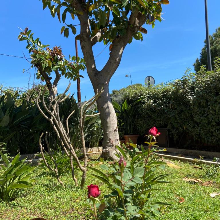 Villa Savoia Mondello - Villa - 29