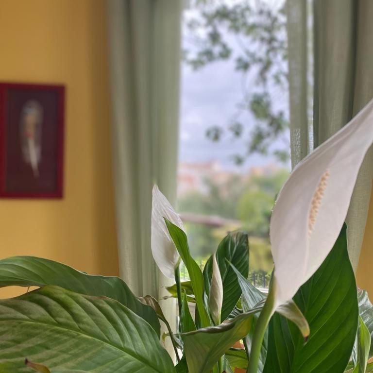 Art apartment Julia - Apartamento de 2 dormitorios - 26