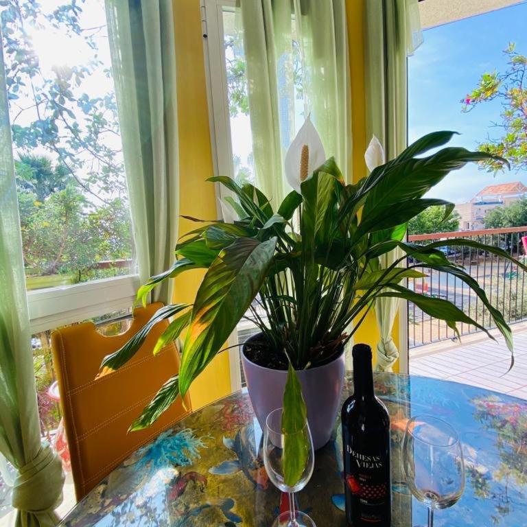Art apartment Julia - Apartamento de 2 dormitorios - 28