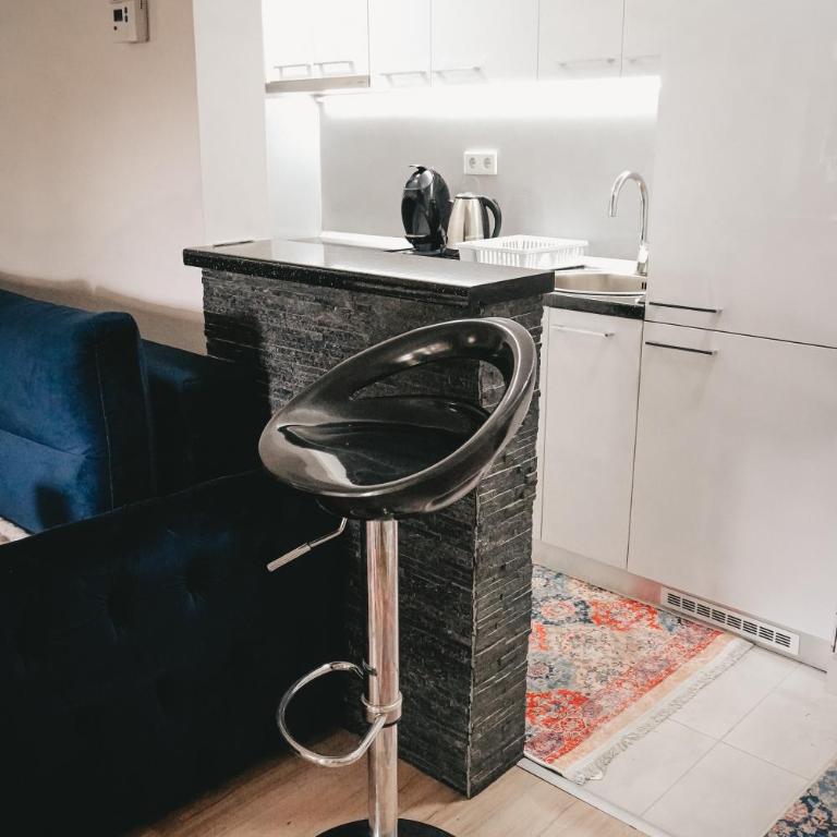 Carsa Apartment Sarajevo - FREE parking - Apartman sa 2 Spavaće Sobe - 7