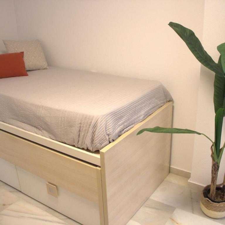 Rock Bay 22 - Three-Bedroom Apartment - 39
