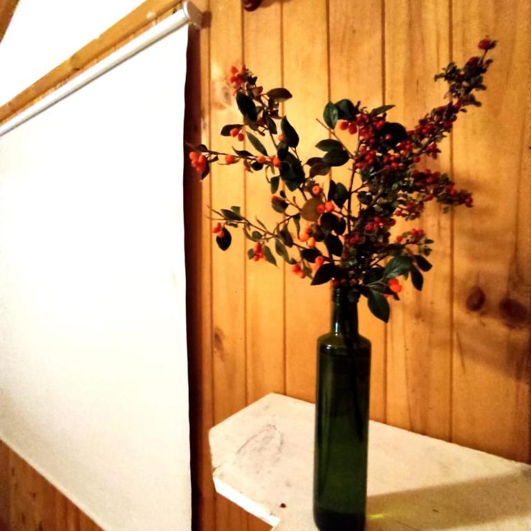 Ruka Experience - Double Room with Private Bathroom - 10