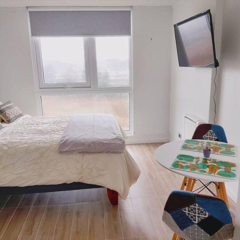 Departamento estudio 810 - One-Bedroom Apartment - 18