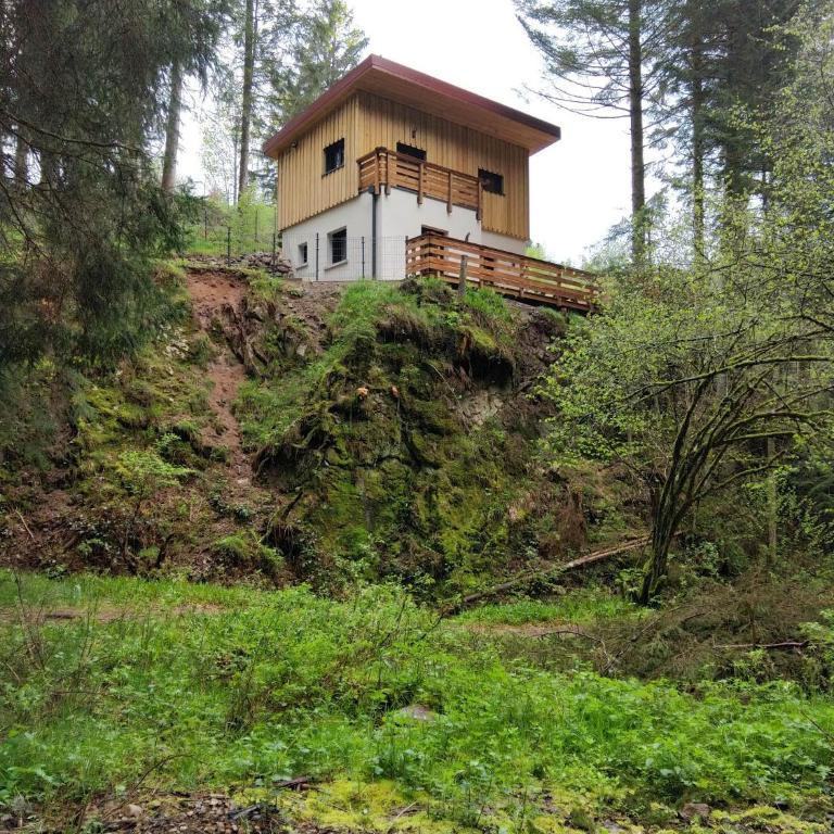 Le Refuge perché du saut de la bourrique, SPA, terrain clôturé, bordure de forêt - Chalet 2 Chambres - 11