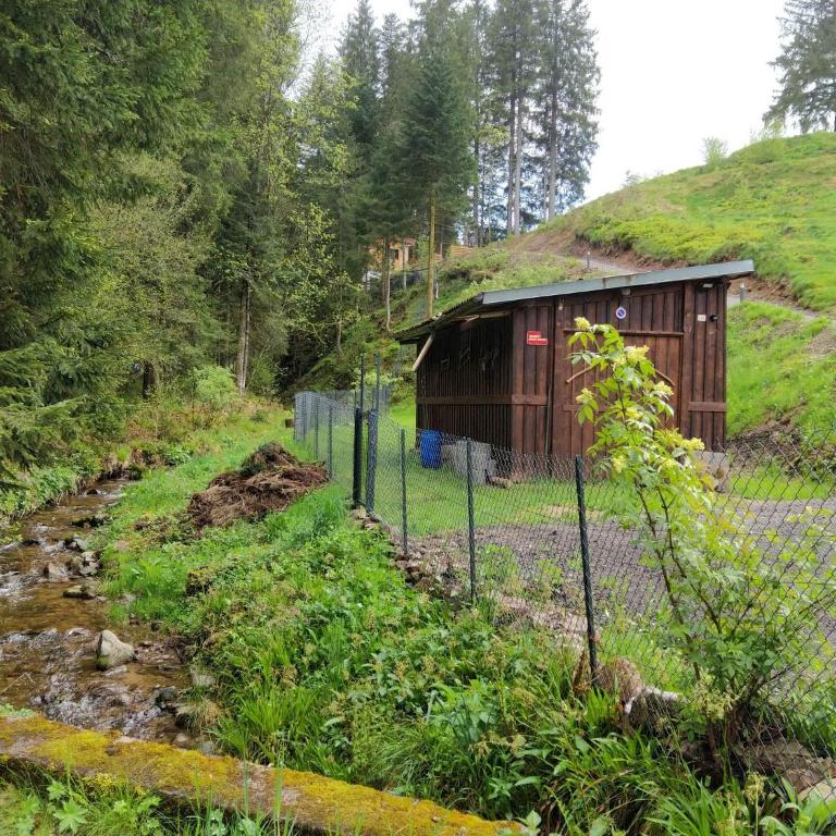 Le Refuge perché du saut de la bourrique, SPA, terrain clôturé, bordure de forêt - Chalet 2 Chambres - 31