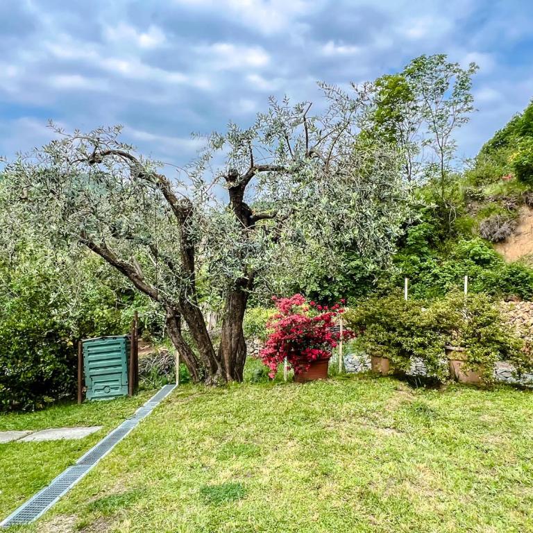 Casetta nel verde - Apartamento de 2 dormitorios - 13
