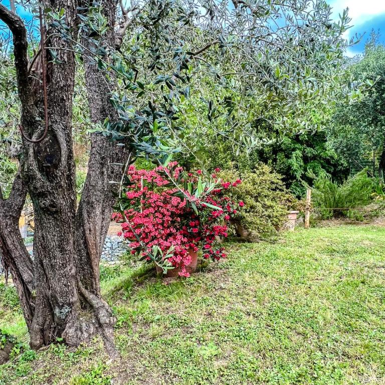 Casetta nel verde - Apartamento de 2 dormitorios - 12
