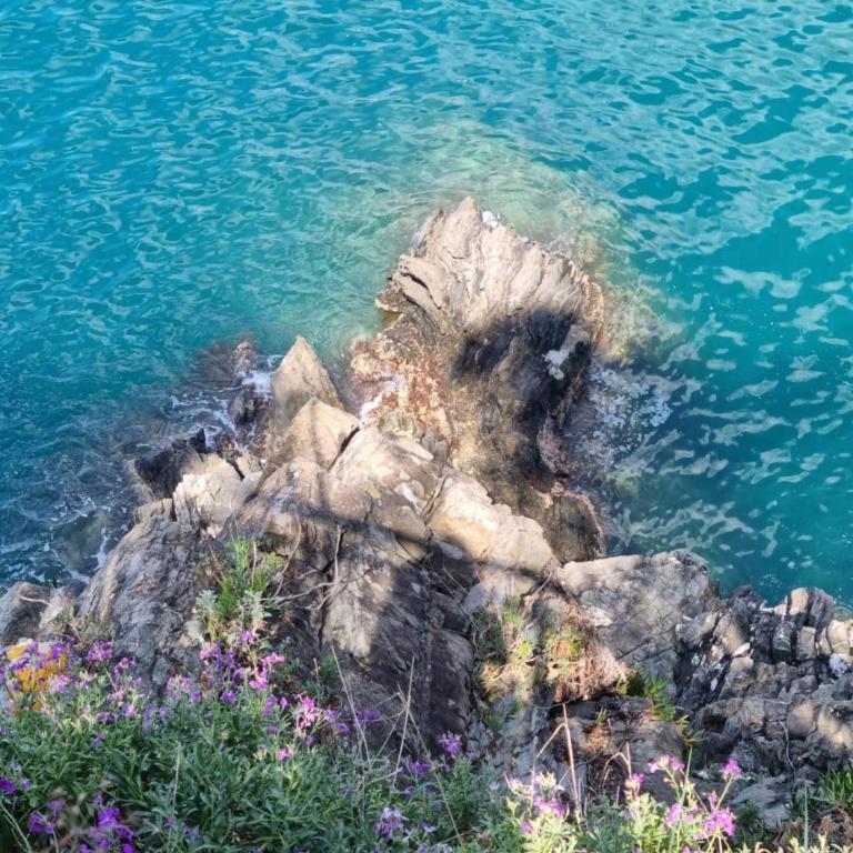 5 Cinque Terre Monolocale in Centro a La Spezia - One-Bedroom Apartment - 12