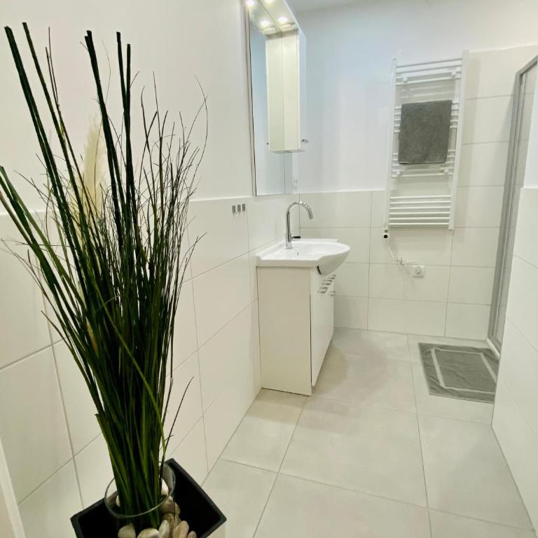 Siriuskogel im Zentrum von Bad Ischl - Apartment mit 1 Schlafzimmer - 4