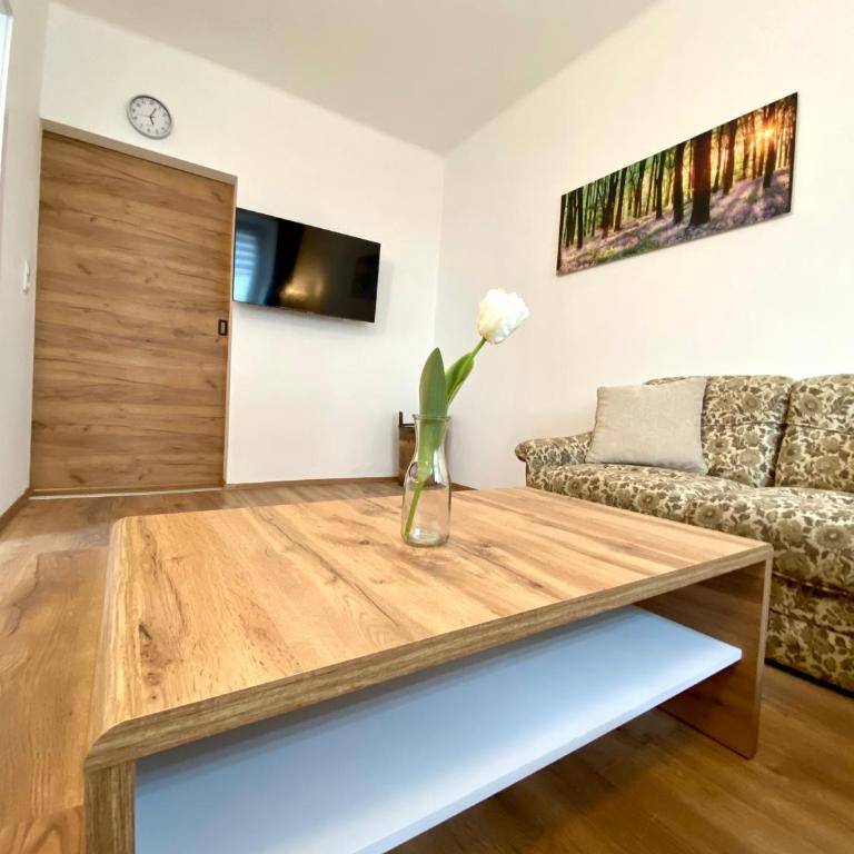 Siriuskogel im Zentrum von Bad Ischl - Apartment mit 1 Schlafzimmer - 22