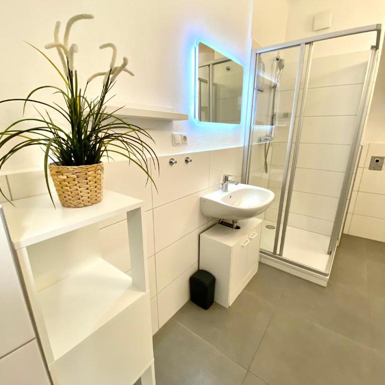 Rettenkogel im Zentrum von Bad Ischl - Apartment mit 1 Schlafzimmer - 2