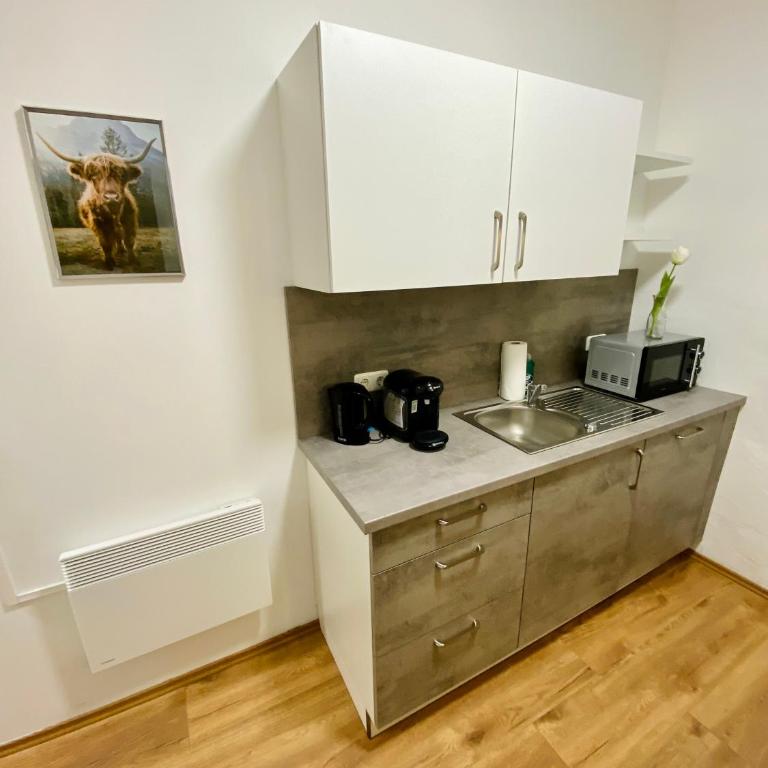 Rettenkogel im Zentrum von Bad Ischl - Apartment mit 1 Schlafzimmer - 31